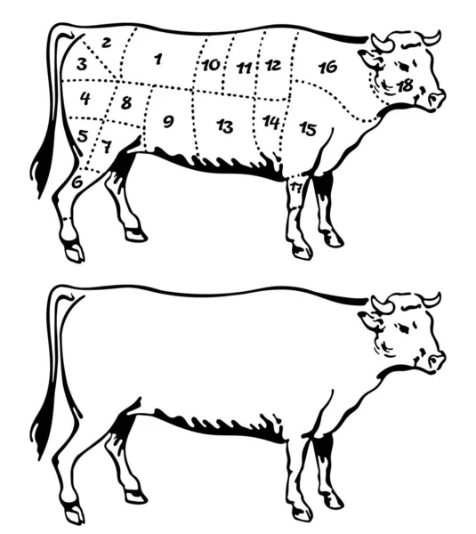 Kawałek Wołowiny Schemat Rzeźnika Plakatowego Krowa Klasyczna Typografia Ręcznie Rysowana — Wektor stockowy
