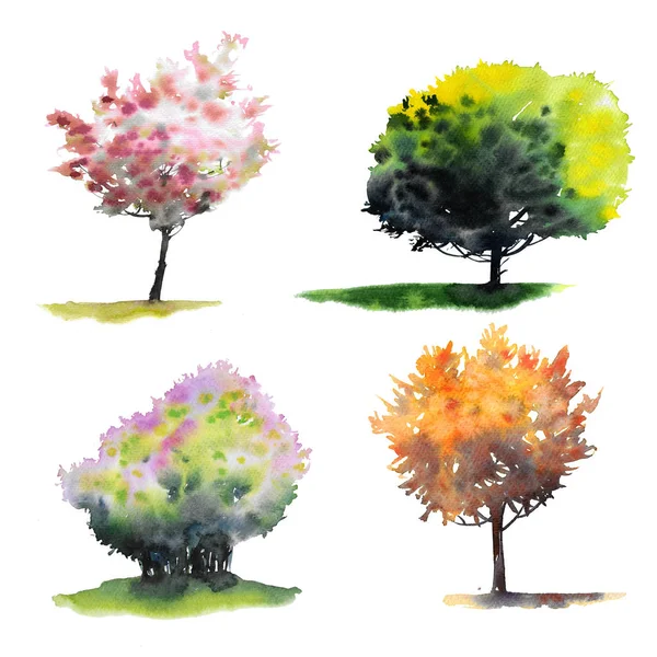 Four watercolor trees — Stock Photo, Image