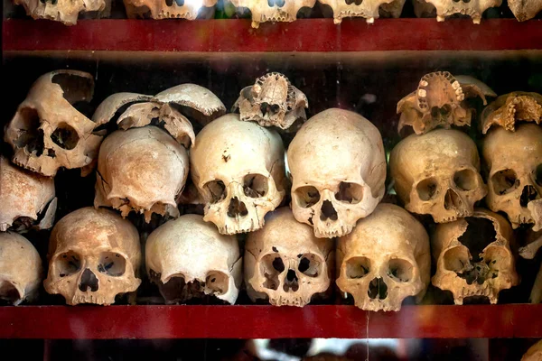 Human Skulls Khmer Rouge Genosideon Wat Thmei Siem Reap Cambodia — Stock Photo, Image