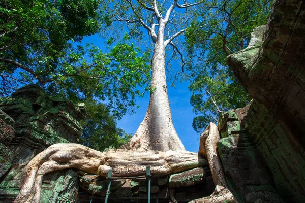 Bayon Tempel Angkor Wat Siem Reap Combodia — Stockfoto