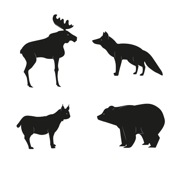 Hand Drawn wild animals — Stock Vector