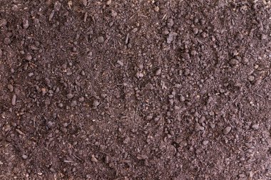 Background of bare soil with copy space clipart