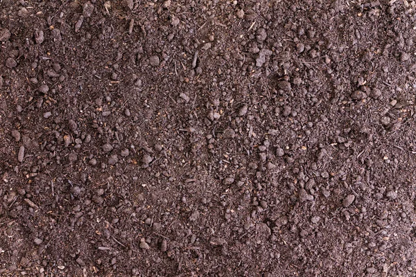 Background of bare soil with copy space — Stock Photo, Image