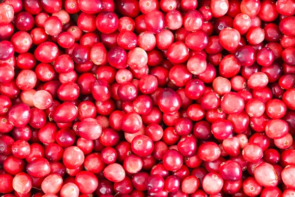 Full frame background texture of ripe cranberries — Stock Photo, Image
