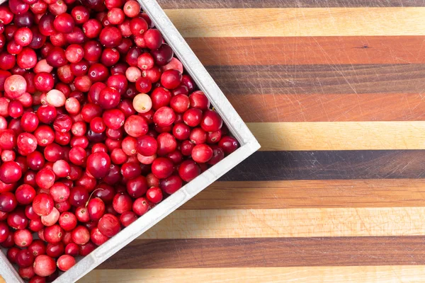 Full punnet of fresh ripe red cranberries — Stock Photo, Image