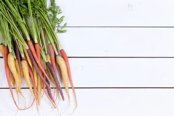 Grote bundel van rauwe wortelen met groene tops — Stockfoto