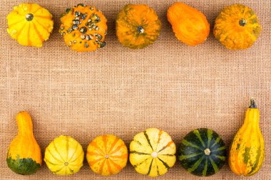 Süs Güz pumpkins çift kenarlık