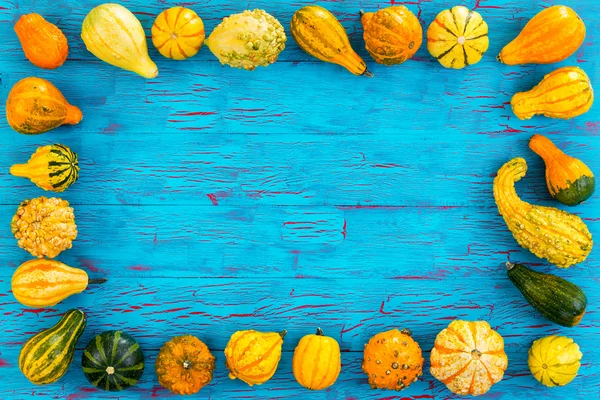 Frame of ornamental pumpkins and gourds — Stock Photo, Image