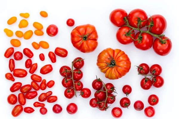 Sortierte rohe Tomaten auf weißem Hintergrund — Stockfoto