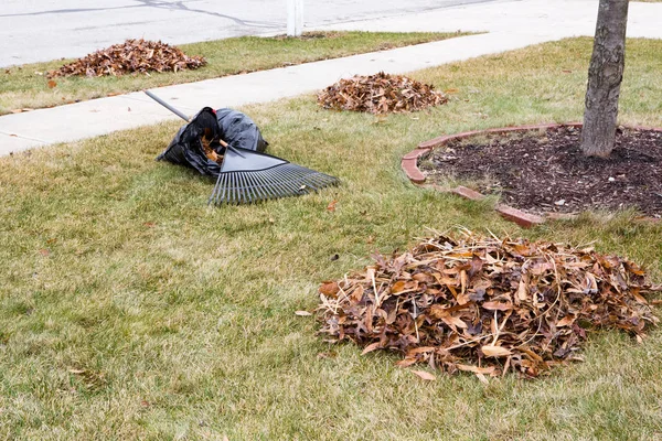 Raked Herfstbladeren op een gemaaid gazon in een tuin — Stockfoto