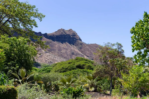 The tip of the cone on the Diamond Head crater