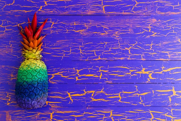 Färgglada ananas i regnbågens färger — Stockfoto