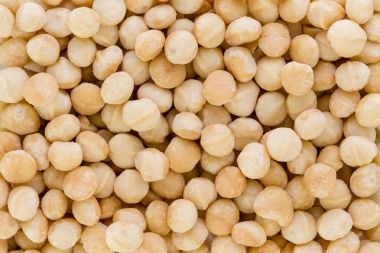 Arka plan doku taze doğal macadamia fındık