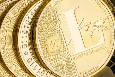 Litecoin cryptocurrency altın detay