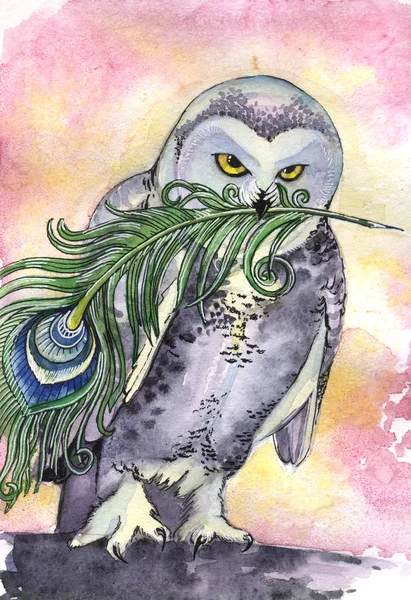 owl with feather