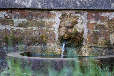 Aslan baş Çeşmesi.