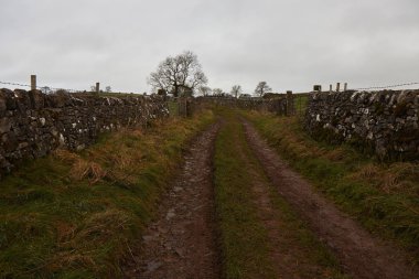 Sonbaharda kır yolu .