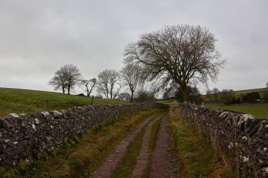 Sonbaharda kır yolu .