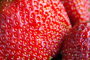 çilek berry yakın çekim