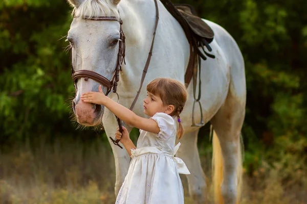 Het kleine meisje strijkijzers een paard — Stockfoto