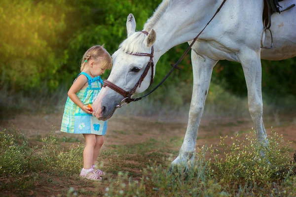 Het kleine meisje voedt een paard — Stockfoto