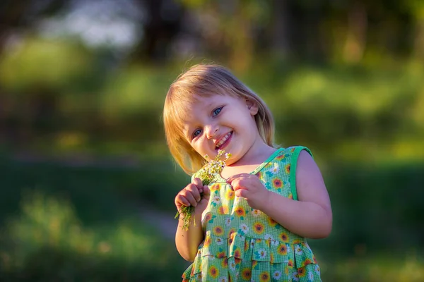 La muchacha con el ramo de las manzanillas en verano —  Fotos de Stock