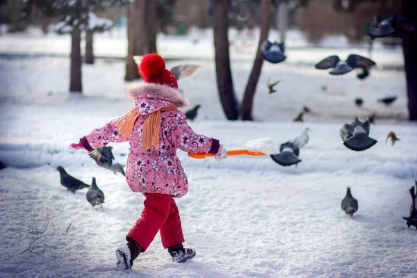 La chica en el parque corre dispersa palomas en el invierno — Foto de Stock