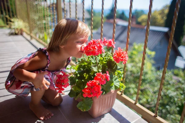 Kleine süße Mädchen in einer Sommersonne barfuß schnuppert eine Blume in einem Topf auf dem Balkon. rote Geranien — Stockfoto