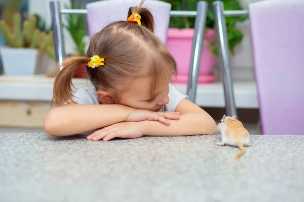 Маленькая белая девочка играет за столом с песчанкой. Ведение домашнего животного — стоковое фото