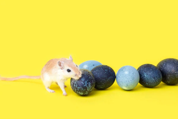 Fare ve güzel paskalya yumurtaları sarı arka planda.
