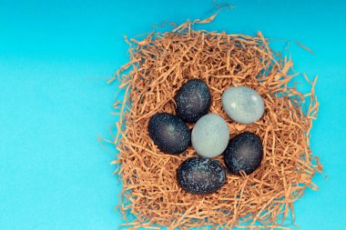 Uzay renginde boyanmış Paskalya yumurtaları, mavi arkaplanda bir yuvada uzanıyorlar.