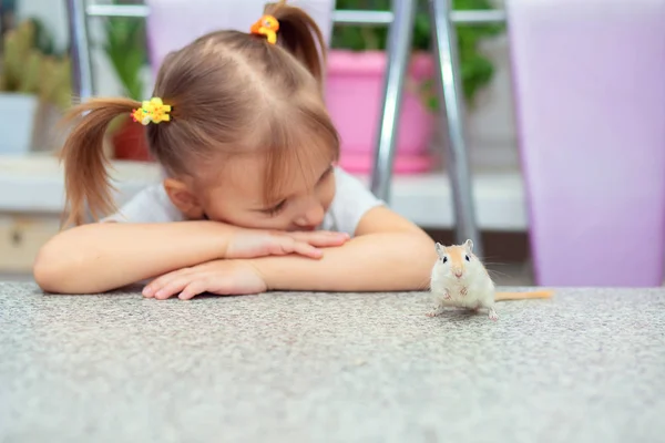 Klein schattig meisje speelt aan een tafel met een gerbil. Huisdieren — Stockfoto