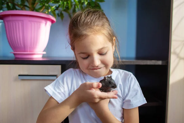 A girl in a white T-shirt holds a Mongolian gerbil in her hands and hugs her. Children and animals.