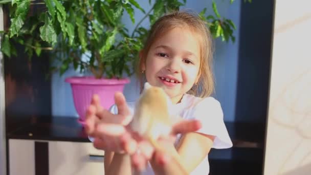 Niña Colegiala Sostiene Sus Brazos Mascota Jerbo Mongol Comunicación Niños — Vídeo de stock