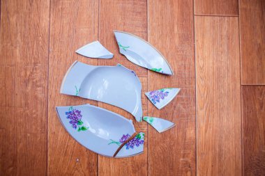 Tabak yere düştü ve küçük parçalara ayrıldı. Parçalanmış bir tabağın parçaları.