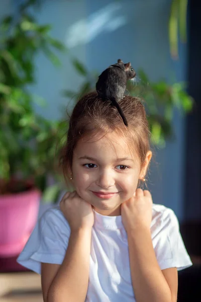 Dziewczyna Domu Bawi Się Swoim Mongolskim Myszoskoczkiem Komunikacja Dzieci Zwierzętami — Zdjęcie stockowe