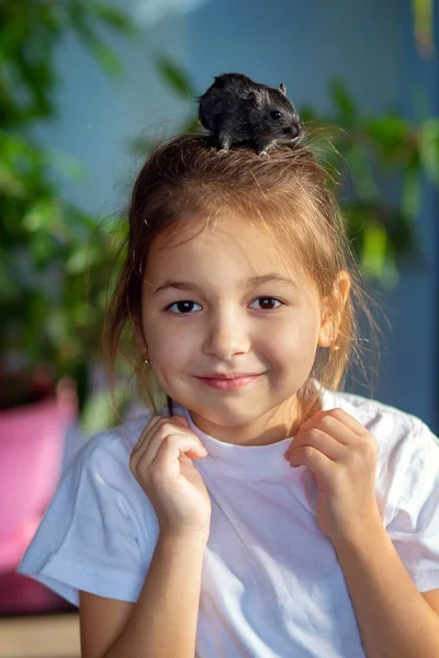 Ragazza Casa Giocare Con Suo Gerbillo Mongolo Animale Domestico Comunicazione — Foto Stock