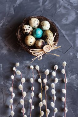 Bıldırcın yumurta bir yuvaya bir beton zemin üzerine