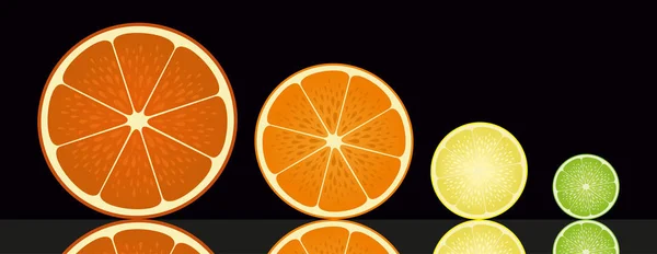 Vector de pomelo, naranja, limón y lima sobre fondo negro — Vector de stock