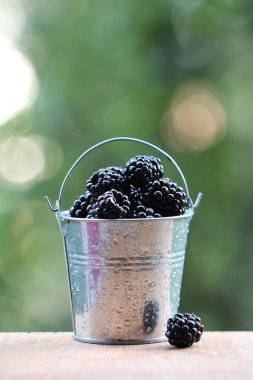 Küçük bir kova içinde BlackBerry