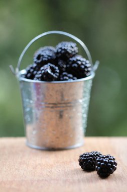 Küçük bir kova içinde BlackBerry