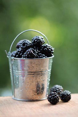 Küçük bir kova içinde BlackBerry