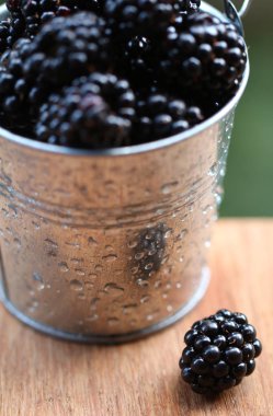 Küçük bir kova içinde BlackBerry