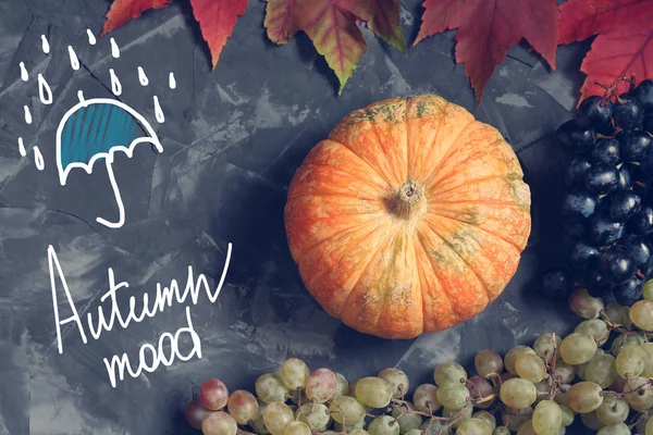 Herbststillleben mit Kürbis, Trauben und Ahornblättern auf Betongrund mit der Aufschrift Herbststimmung — Stockfoto