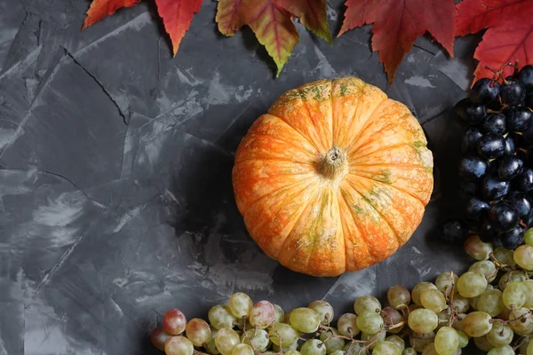 Herbst-Stillleben mit Kürbis, Trauben und Ahornblättern auf Betongrund — Stockfoto