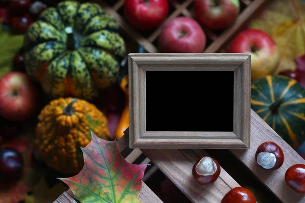 Autumn frame for the text of pumpkin, apples, chestnuts — Stock Photo, Image