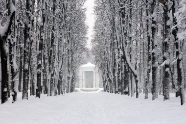Karla kaplı park kar yağışı sonra