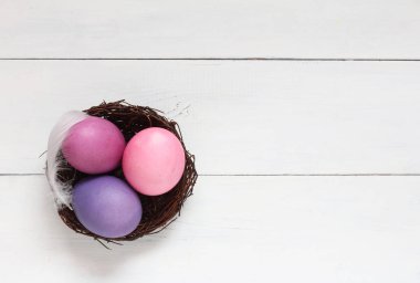 Renk Paskalya yumurta beyaz zemin üzerinde bir yuva