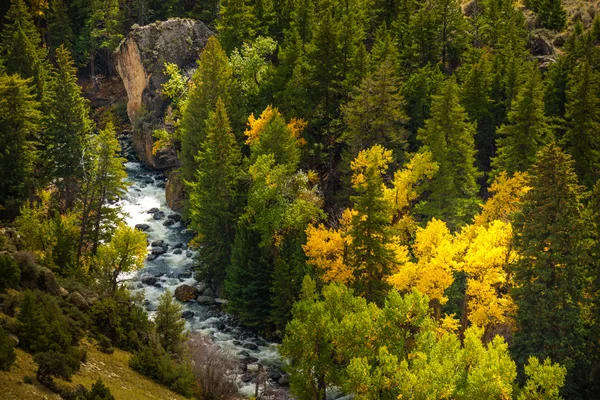 Tensleep Creek Wyoming Queda Cores — Fotografia de Stock