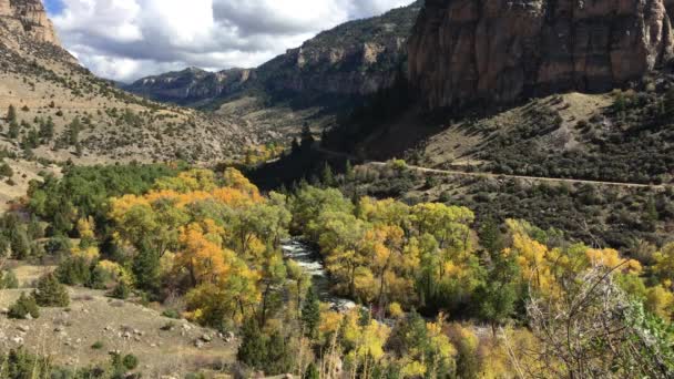 Tensleep Creek Wyoming Colores de otoño — Vídeo de stock